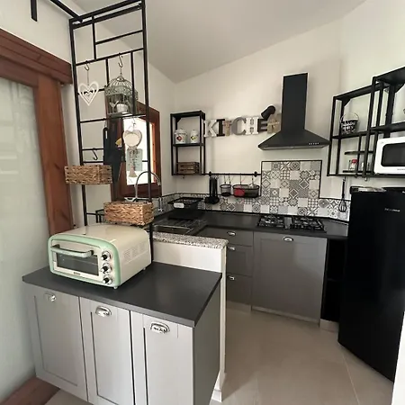 Cute With Pool In * Palau